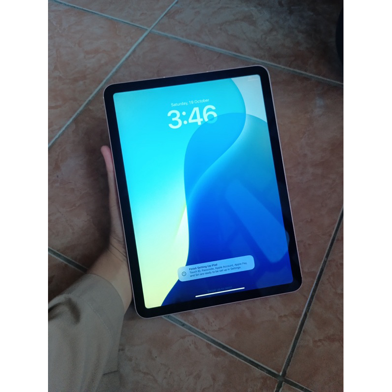 iPad Air 4 Rose Gold Ex Inter