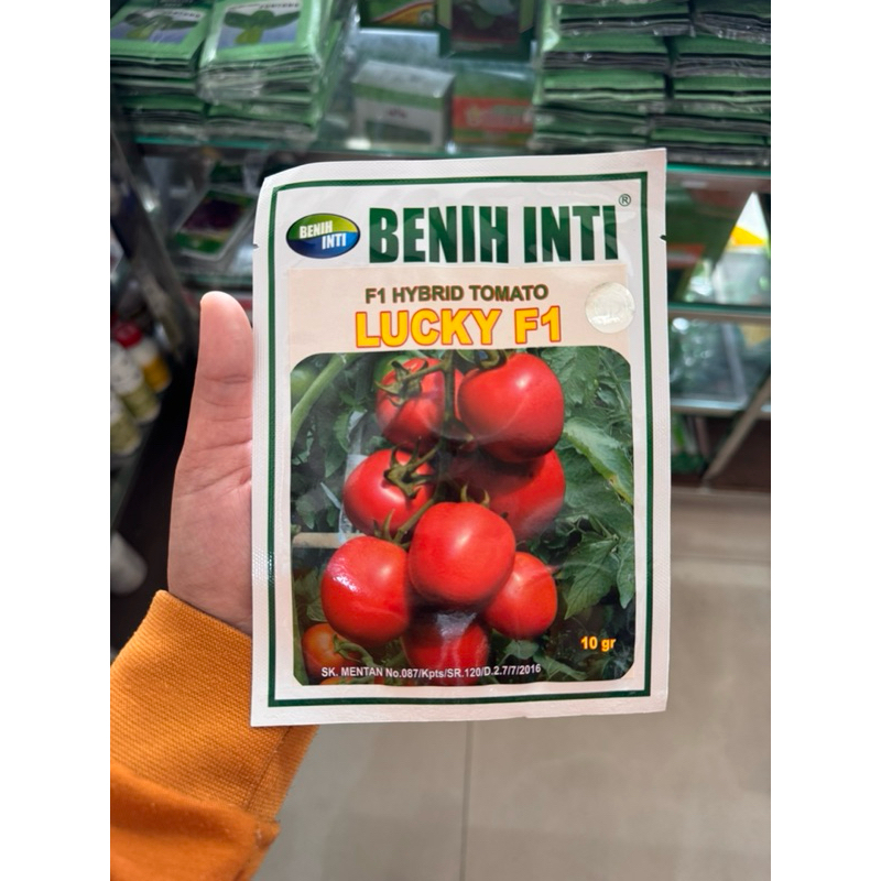 Benih/Bibit Tomat Lucky Benih inti 10gr
