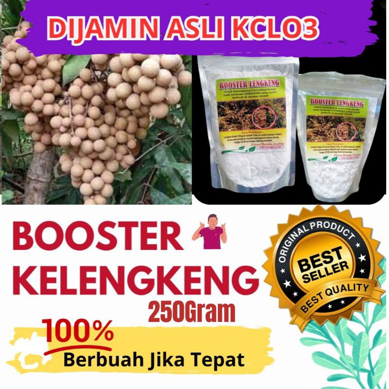 PROMO.. Garansi Asli..Booster Kelengkeng Kclo3 Murni 250Gram