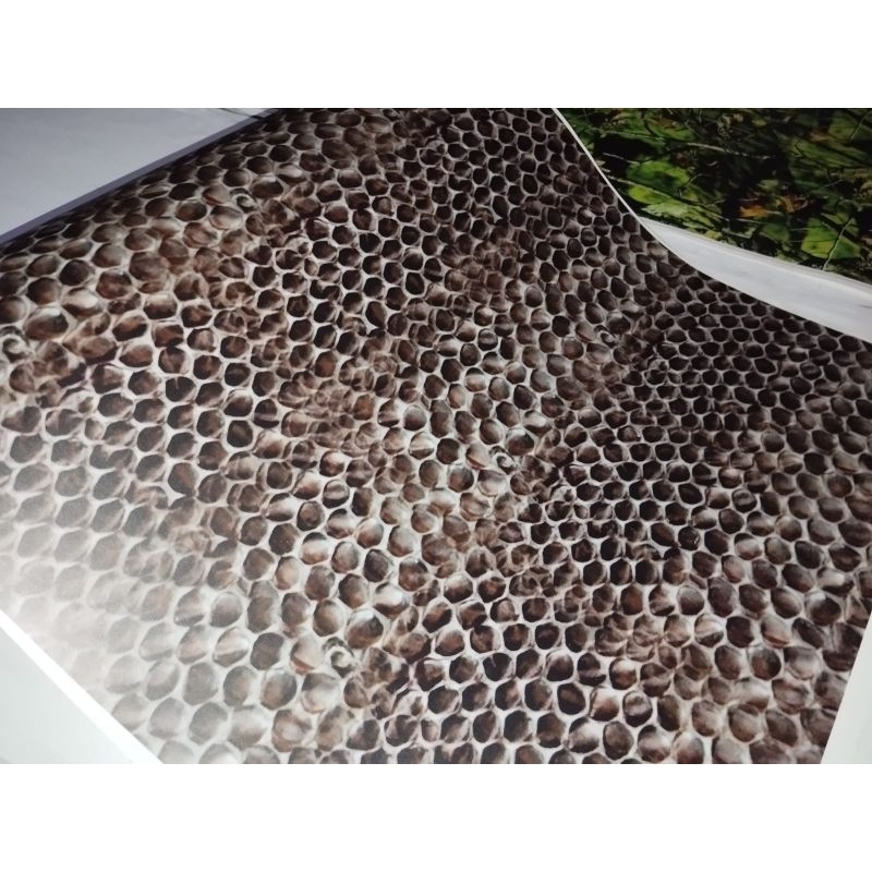 stiker camo sisik ular
