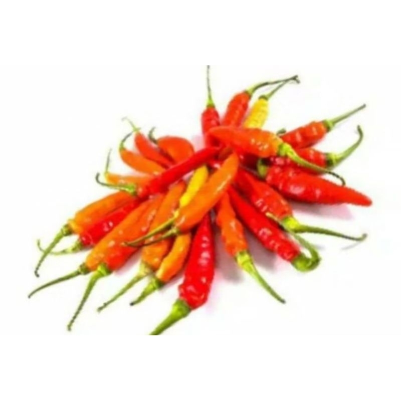 

Cabe Rawit Merah 100 gr