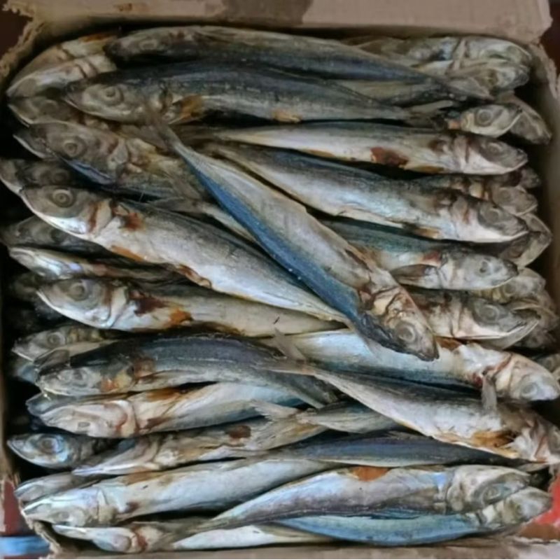 

ikan asin layang 250 gr