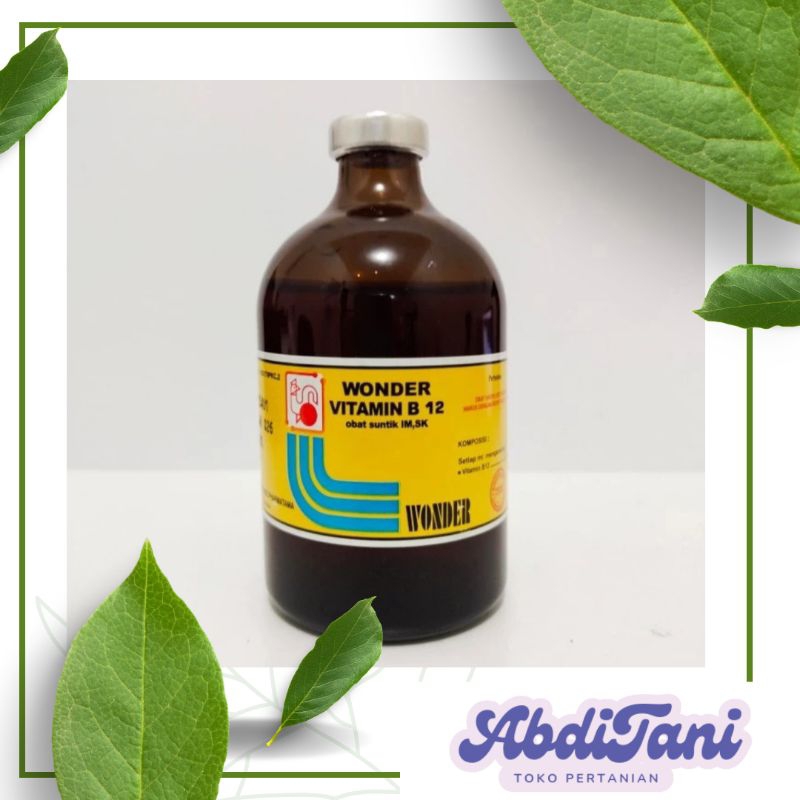 vitamin b12 wonder 100 ml termurah