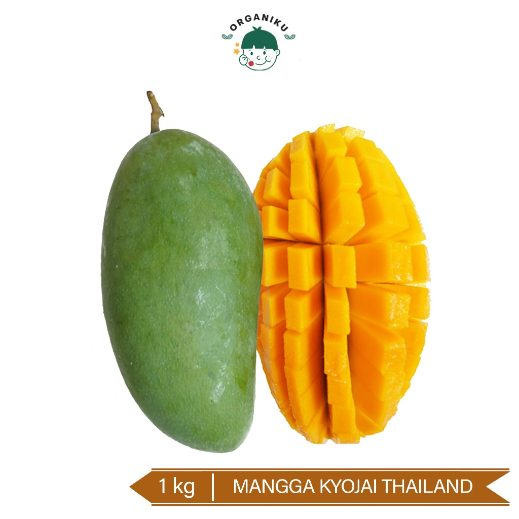 

Buah Mangga Kyojai 1 kg Mangga Thailand