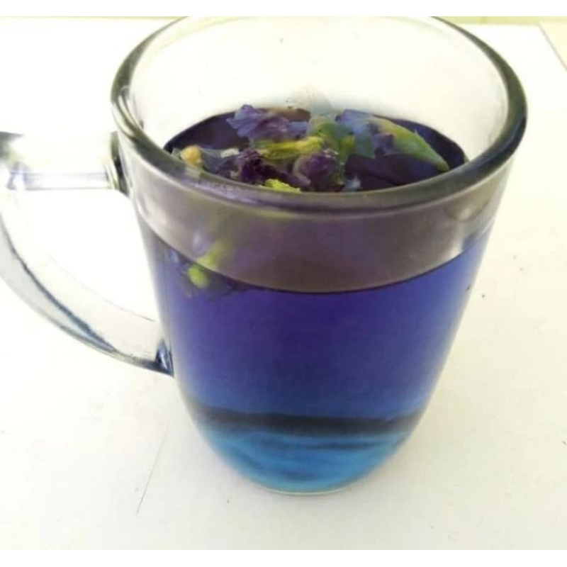

Bunga Butterfly Pea Kering Asli Tinggal Seduh