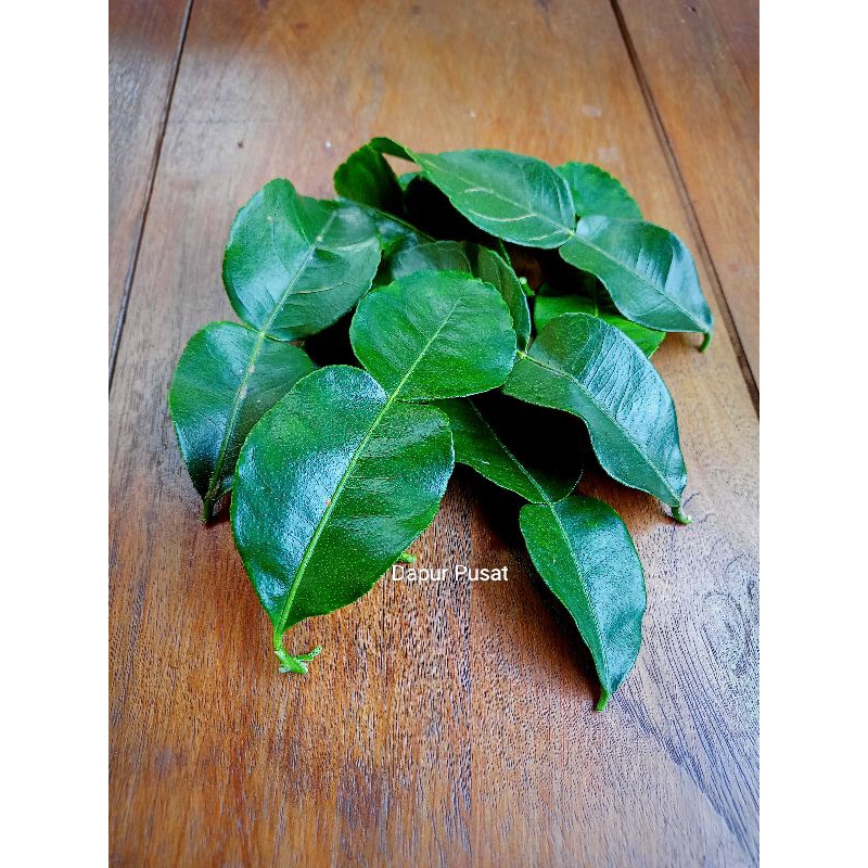 

DAUN JERUK PURUT KUALITAS BAGUS 1 PACK