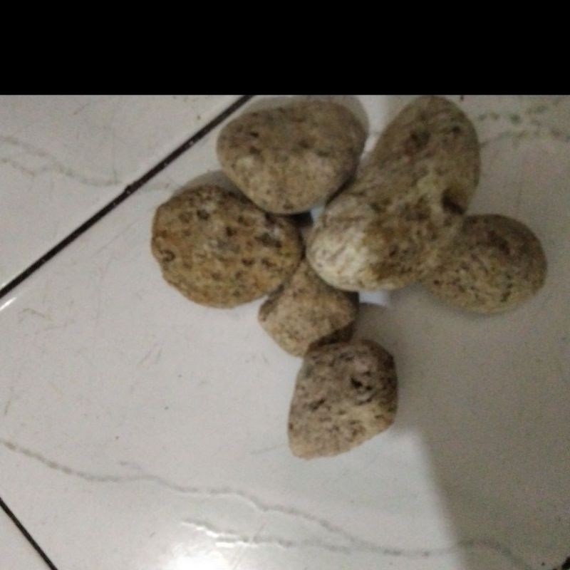 batu apung media filter 500gram