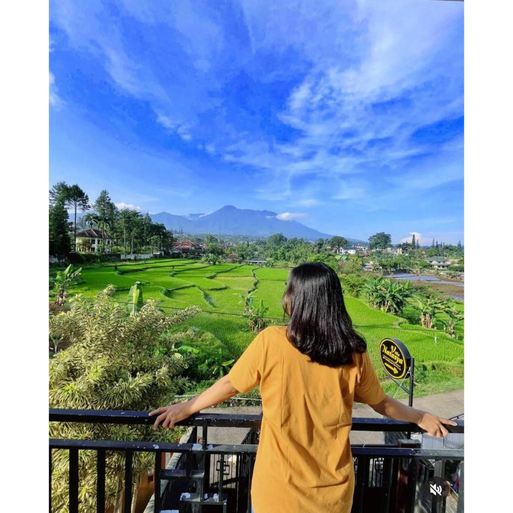 Sewa villa murah/Sewa villa puncak bogor/top view/Villa Natasya