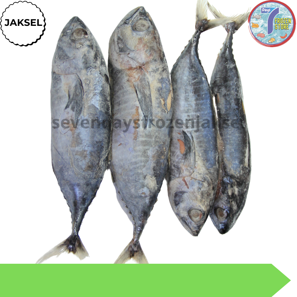 Ikan Baby Tuna Utuh Frozen Beku Kapal Halal Kemasan 1 Kg