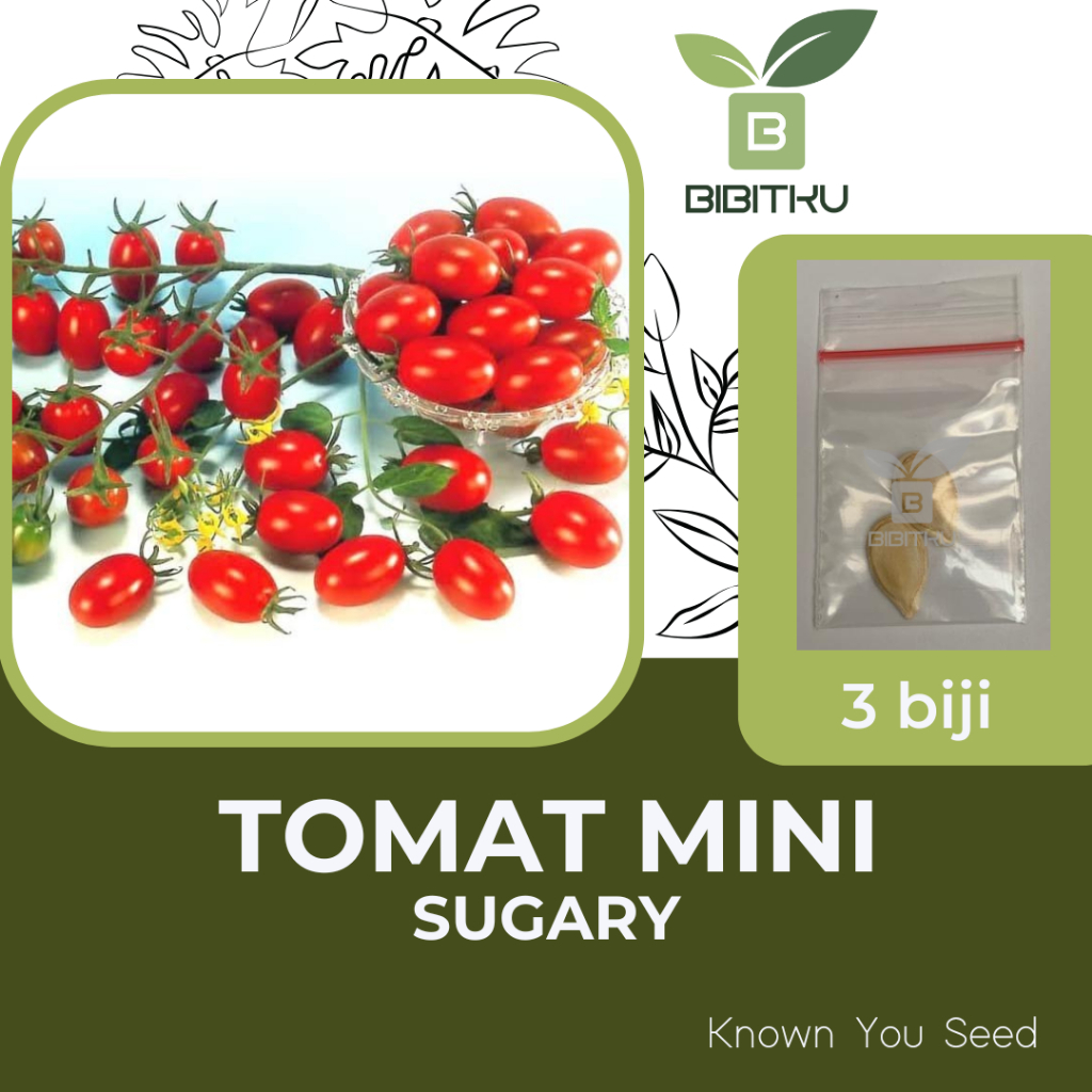 Benih Tomat Cherry Sugary Mini Known You Seed Lonjong