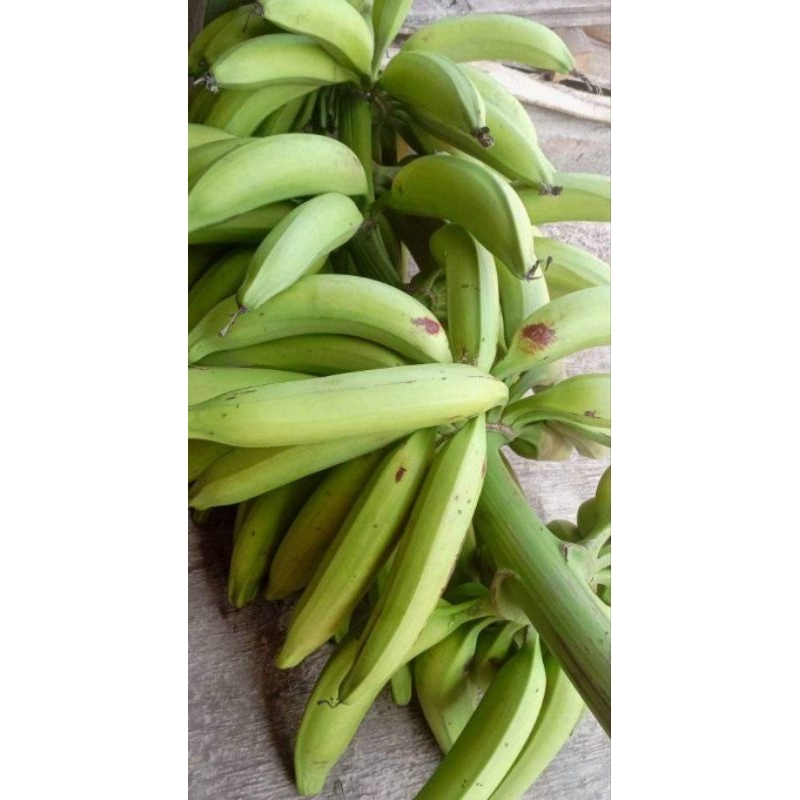 

Pisang Janeng Matang 1 kg