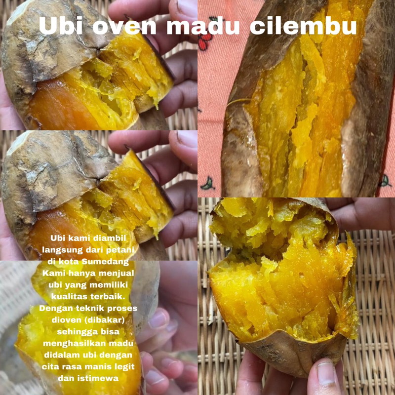 

UBI MADU CILEMBU MATANG FRESH FROM THE OVEN KHUSUS JAWA TIMUR DAN SEKITAR