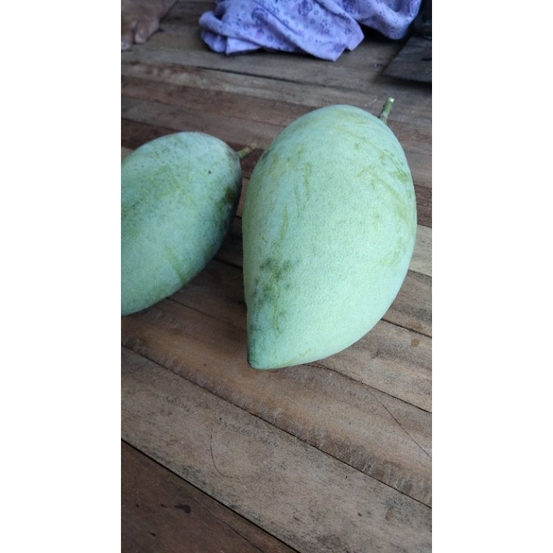 

Buah mangga Madu