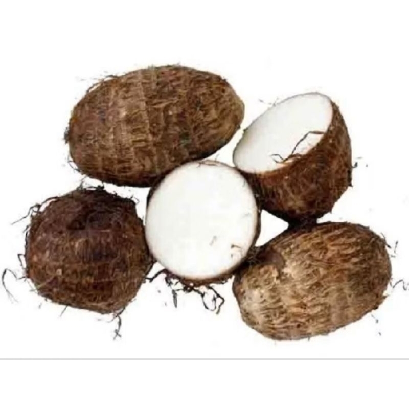 

Talas kimpul/talas bogor pulen 1 kg
