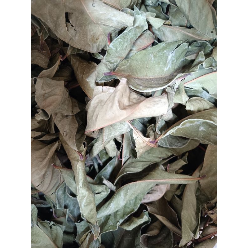 

Daun Salam 1Kg (1000Gram)