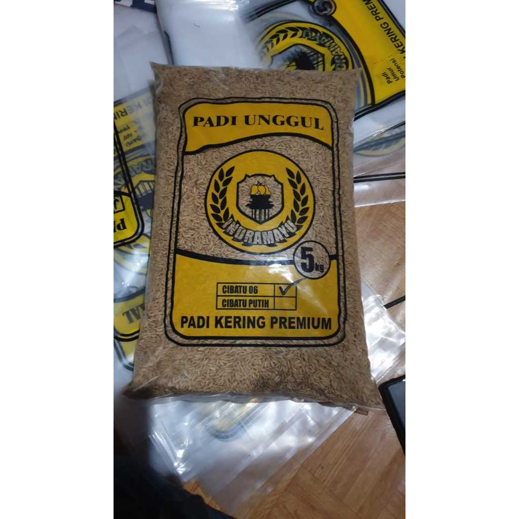 Padi kering premium cibatu 06