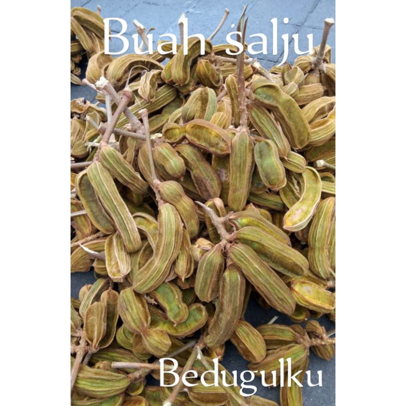 

Buah salju bedugul bali dari petani langsung