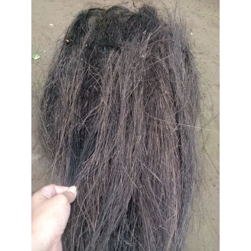 

IJuk aren Panjang bersih siap pakai 1kg