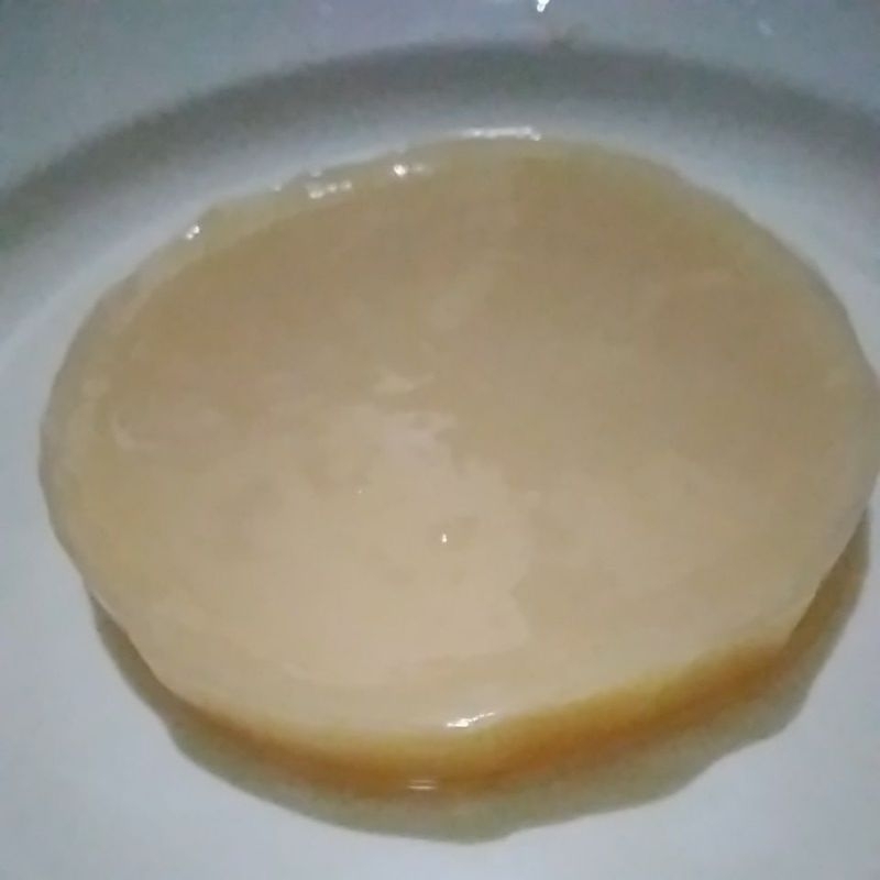 

jamur scoby sehat tebal diameter 10cm