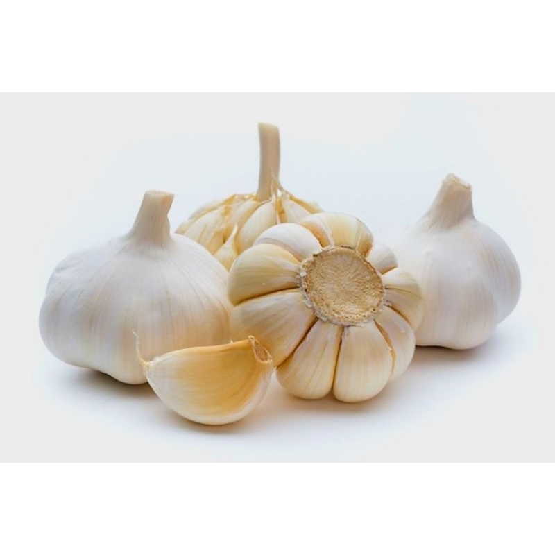 

Bawang putih super bumbu dapur rempah-rempah