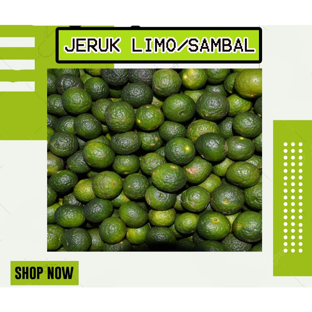 

JERUK LIMAU LIMO SEGER FRESH | 300 GRAM MURAH BERKUALITAS