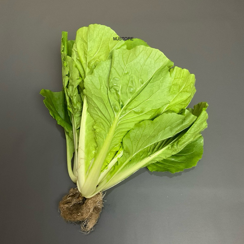 

Sayur Caisim Manis Hijau Segar 1 ikat Cesim Fresh Hidroponik