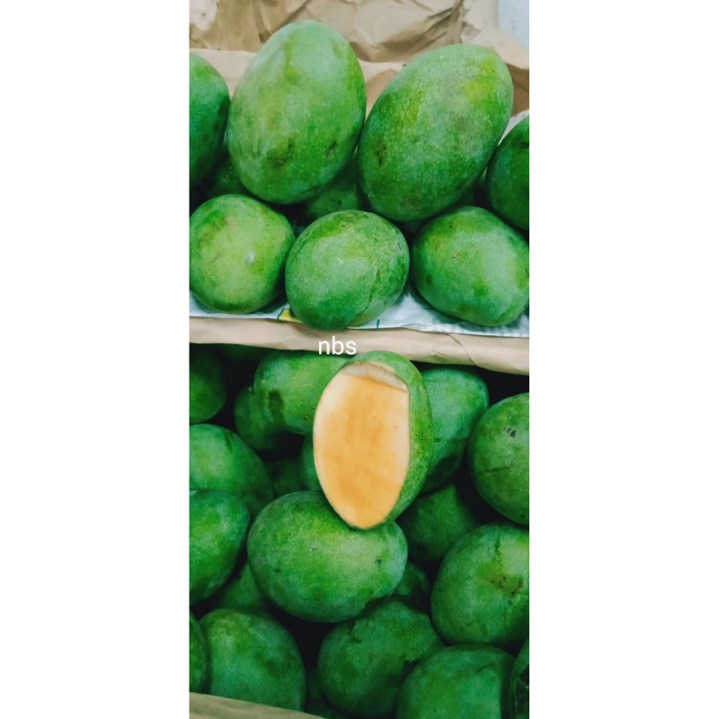 

mangga manalagi madu 1kg