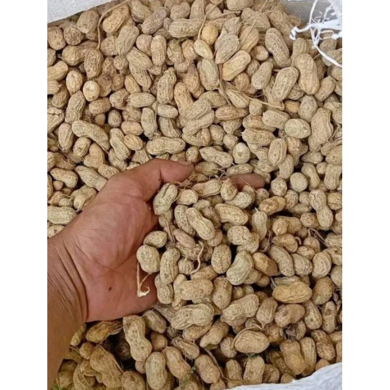 

Kacang Tanah 1 kg