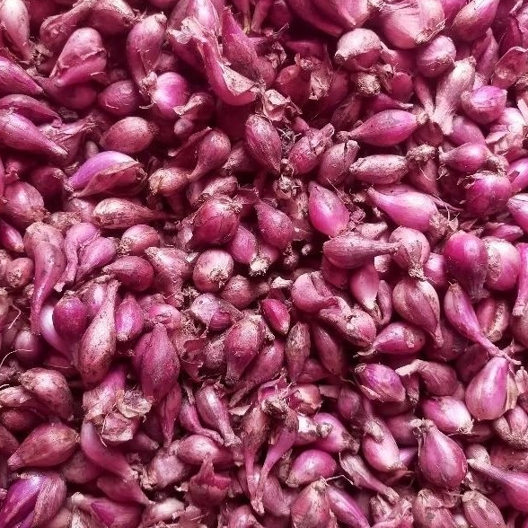 

BAWANG MERAH UKURAN KECIL HALUS