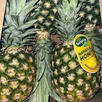 

Buah Nanas Madu 1 pcs
