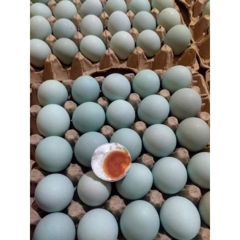 

TELOR ASIN 5 BUTIR