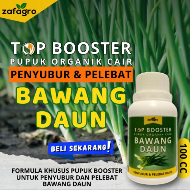 Pupuk Semprot Bawang Daun Pupuk Penyubur Bawang Daun Pupuk Melebatkan Bawang Daun Pupuk Bawang Daun.