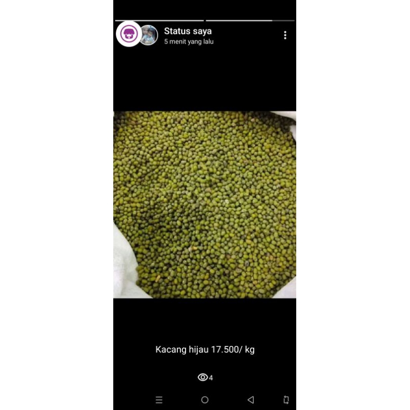 

kacang hijau