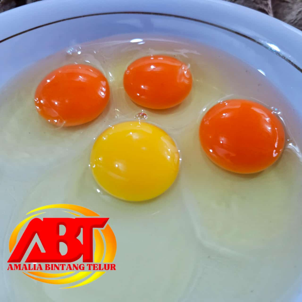 

Telur Omega 3 Segar Isi 30 Butir Garansi