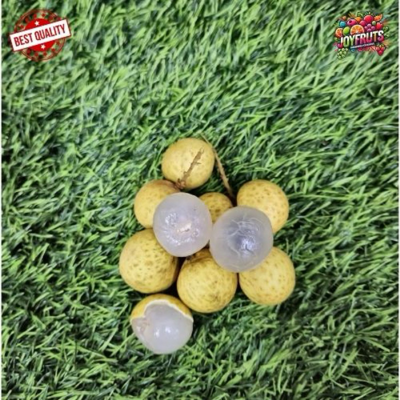 

Lengkeng Impor <tanpa batang> 500-1000g