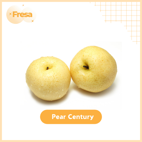 

Pear Century Import 1kg Fresh & Sehat | Fresa Mart
