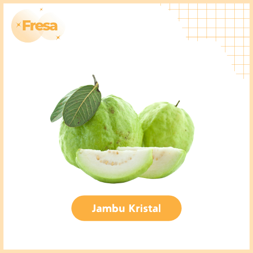 

Jambu Kristal 1 Kg Fresh & Sehat | Fresa Mart