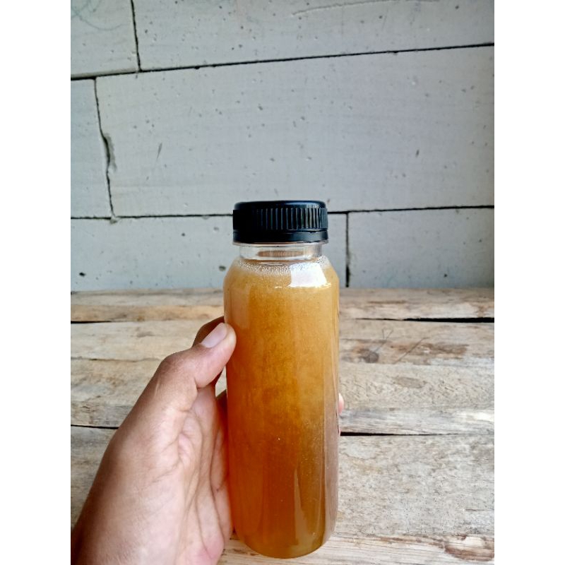 

madu hutan Apis dorsata