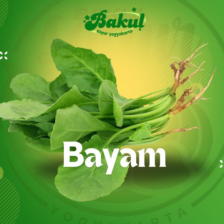 

Bayam 1 ikat | Bakul Sayur Yogyakarta | Sayur dan Buah Segar Pengiriman Instan