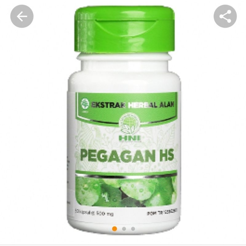 HNI Pegagan HS