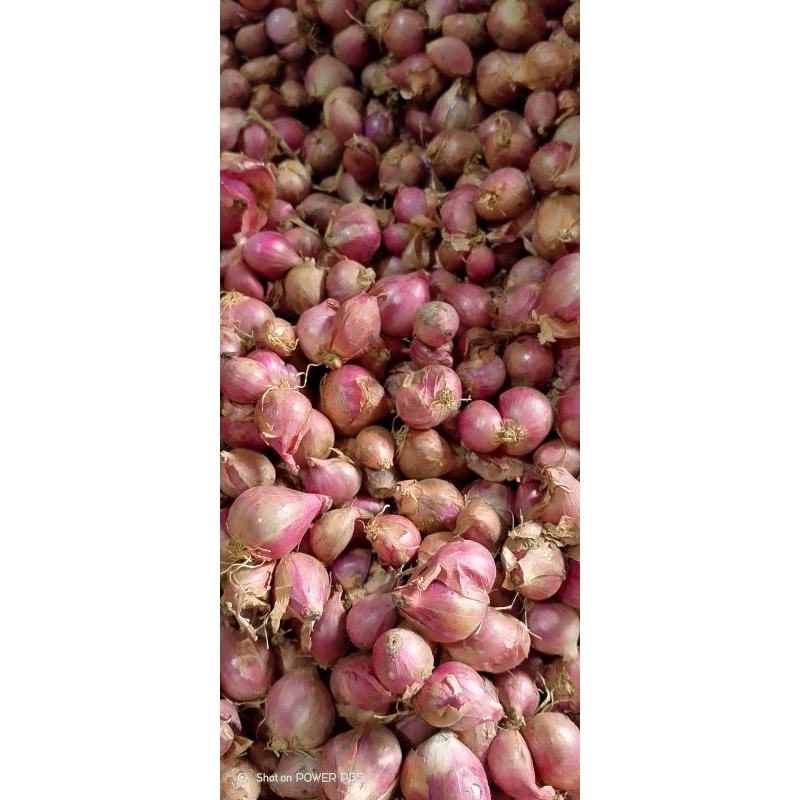 

bawang merah lokal nganjuk 1kg