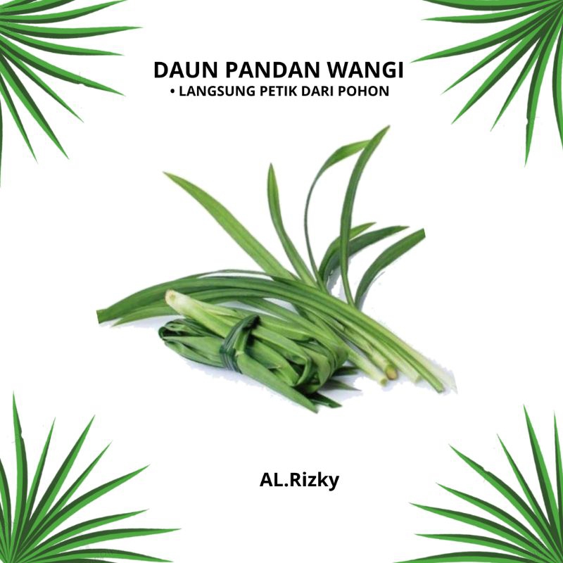 

daun pandan bersih daun wawangian 1iket 500/250gram