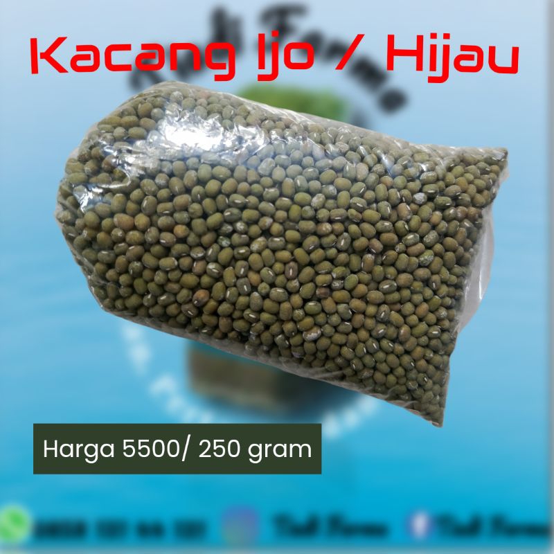 

Kacang Hijau / Kacang Ijo Jenis Vima Termurah / 250 Gram