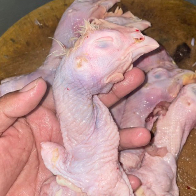 

Kepala Ayam Boiler FRESH 1 Kg