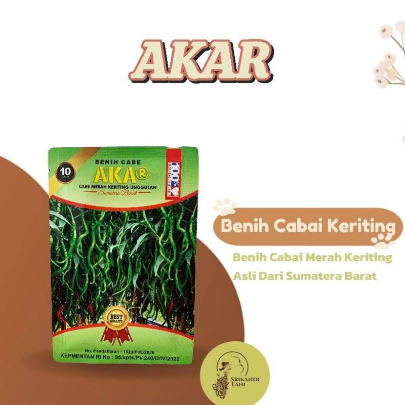 

Cabe Akar Unggul 10gr Original Pabrik Lokal Sumatra Barat Tahan Virus Kuning