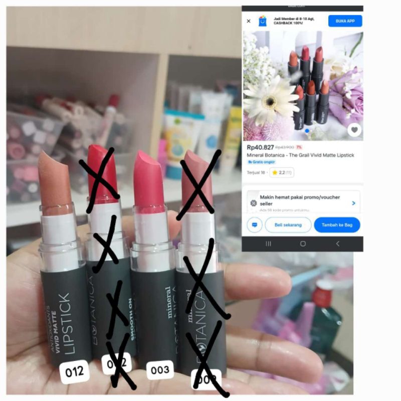 LIPSTIK BOTANICA moisturizer