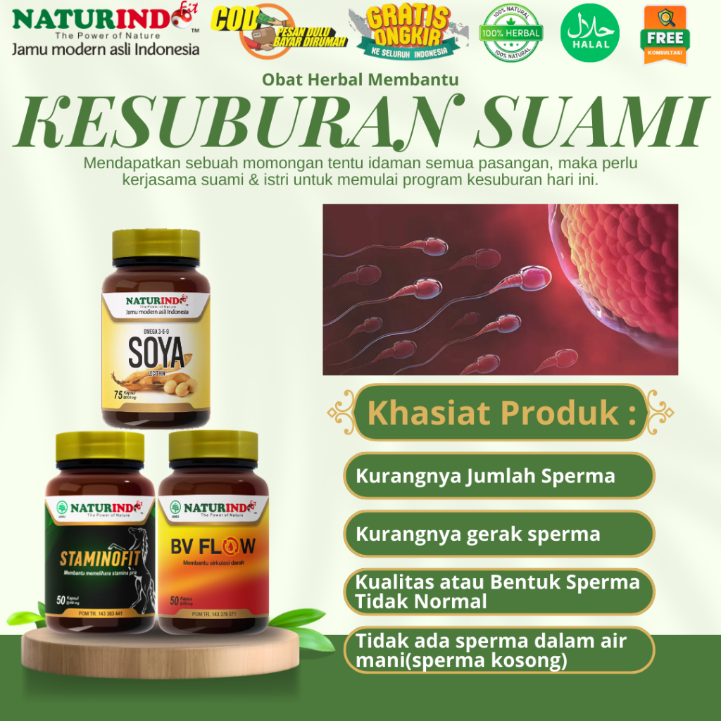 Obat Herbal Kesuburan Suami Teratozoospermia Oligospermia Asthenozoospermia Azoospermia Promil Suami