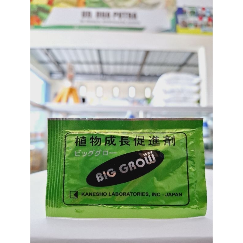 BIG GROW Zat Pengatur Tumbuh Tanaman