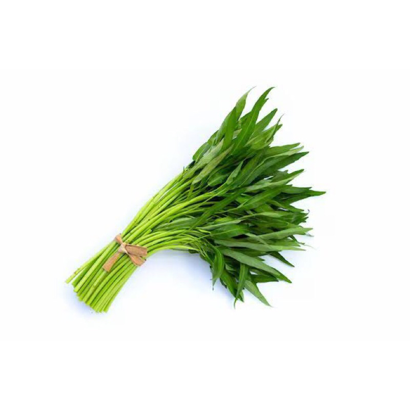 Kangkung Segar Pakan Burung Lovebird, Parkit, Falk