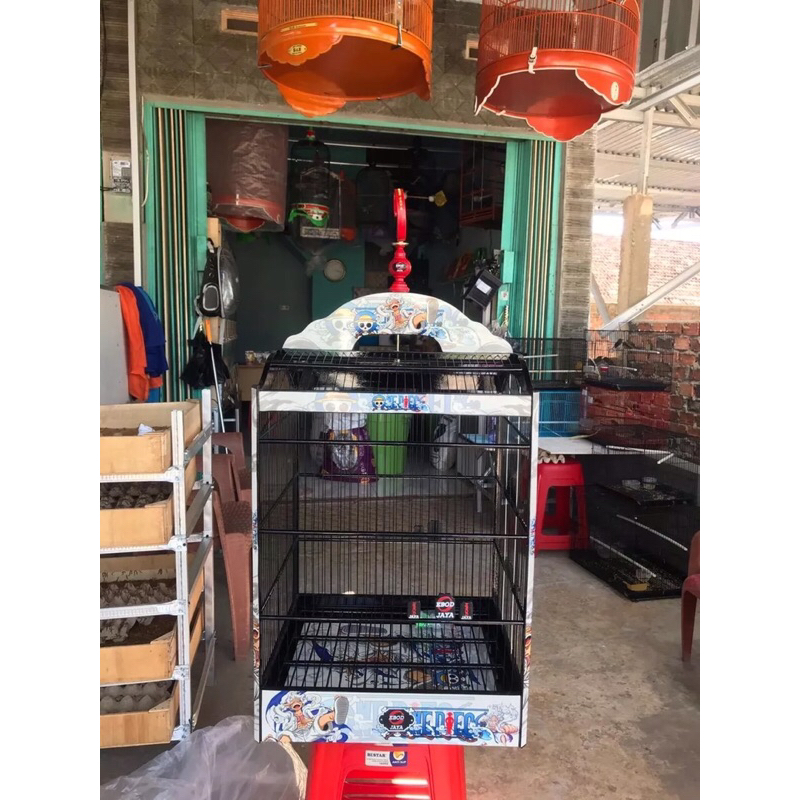 Sangkar kipas buat cucak ijo dan kenari,Sangkar kotak model kipas cat decal one piece